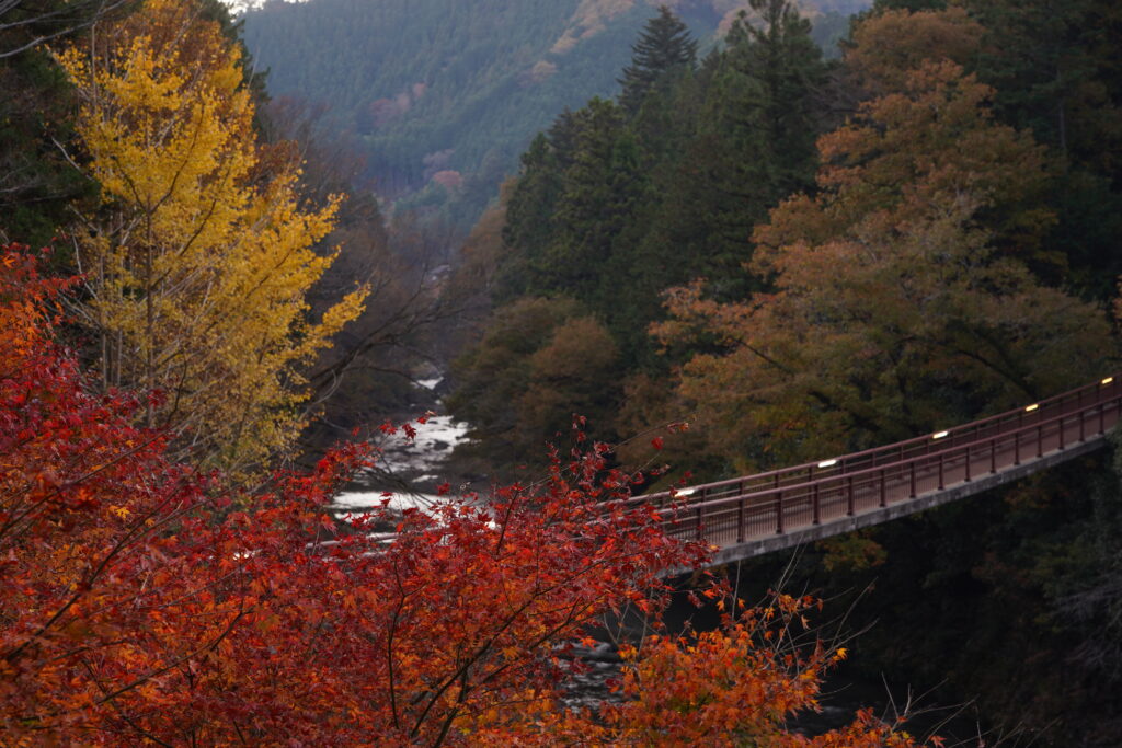 autumn leaves with ishibune bridge at akigawa valley