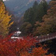 autumn leaves with ishibune bridge at akigawa valley