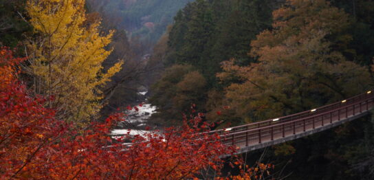 autumn leaves with ishibune bridge at akigawa valley