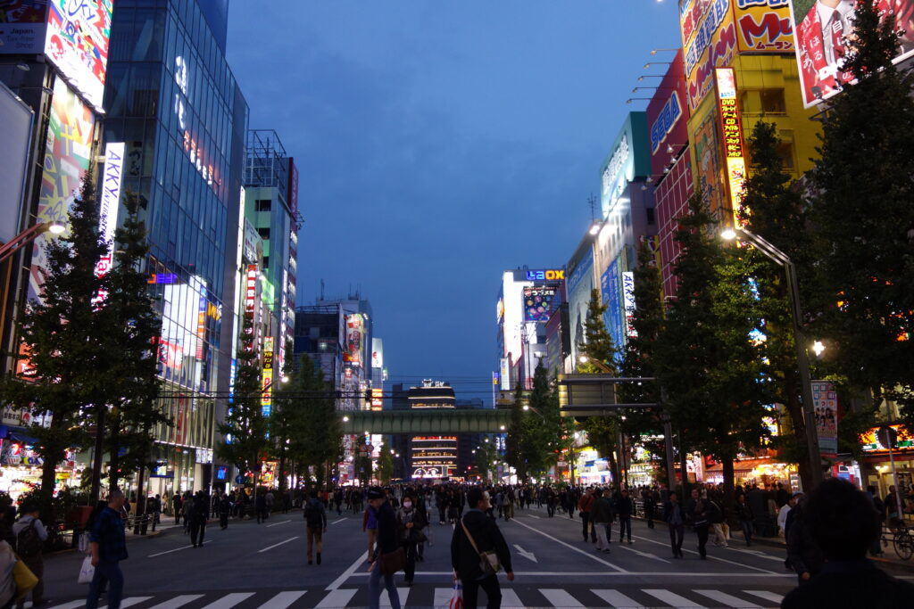 pedestrian precinct at akihabara