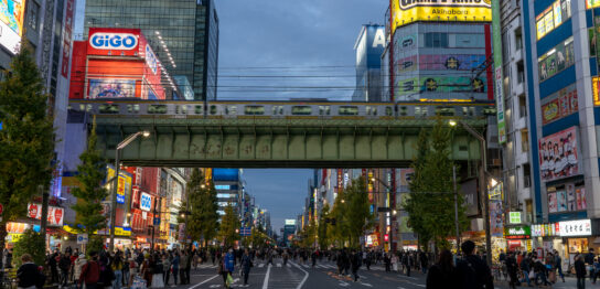 Pedestrian Paradise at Akihabara main street