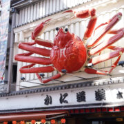 three dimensional crab signboard at Dotonbori