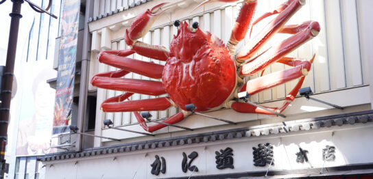 three dimensional crab signboard at Dotonbori