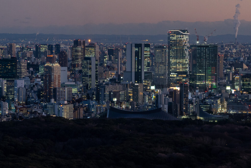 Shibuya seen from Tokyo Metropolitan Government Building