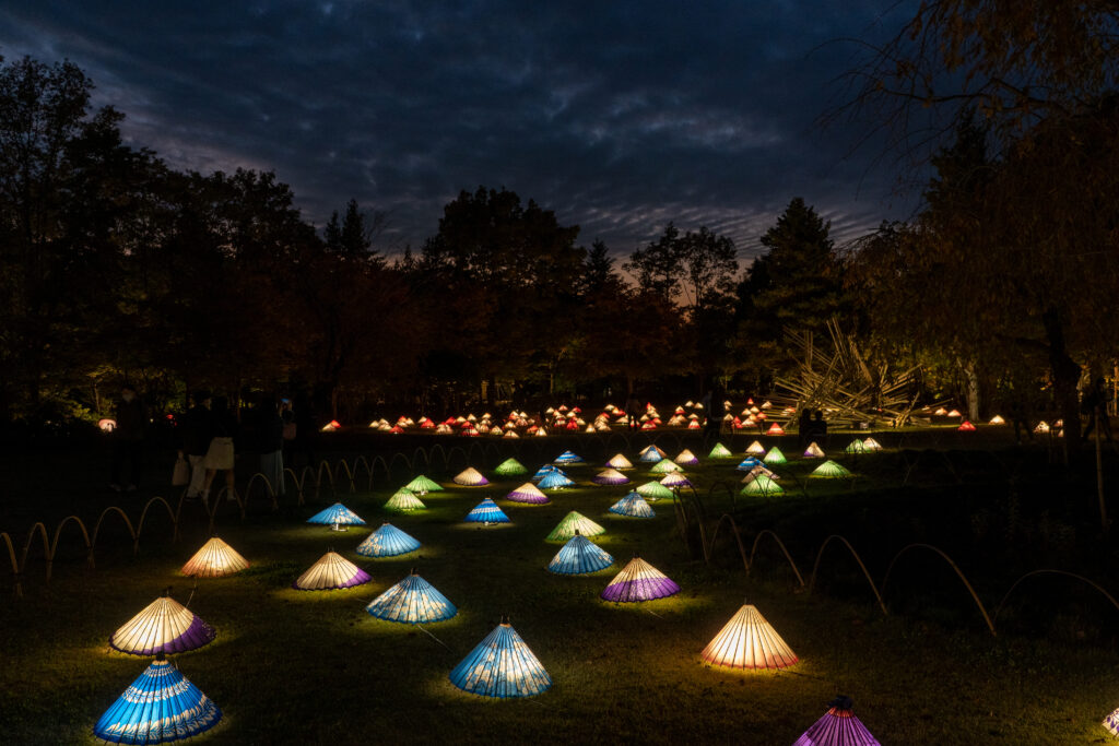 Japanese umbrella illuminated at Showa Kinen Park