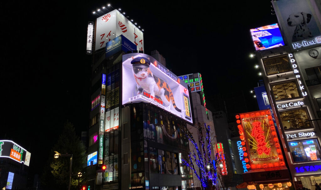 Giant 3d cat display near Shinjuku Staion