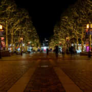 Illumination at Tama Center