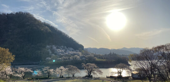 Tsukui Lake Shiroyama Park