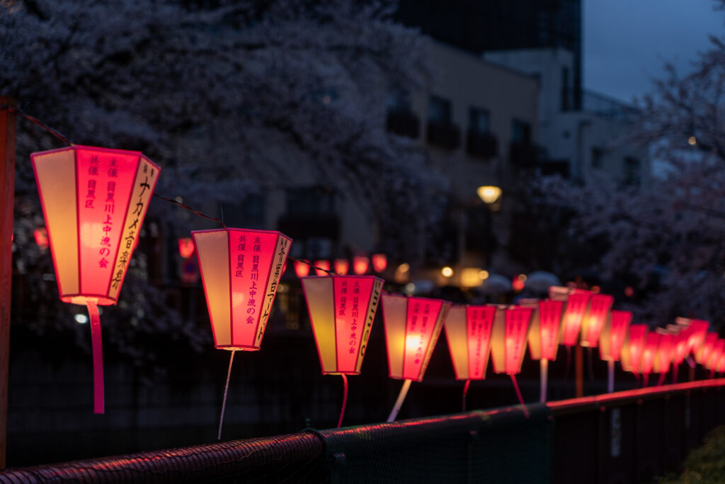 Japanese lantern illuminated at Meguro River