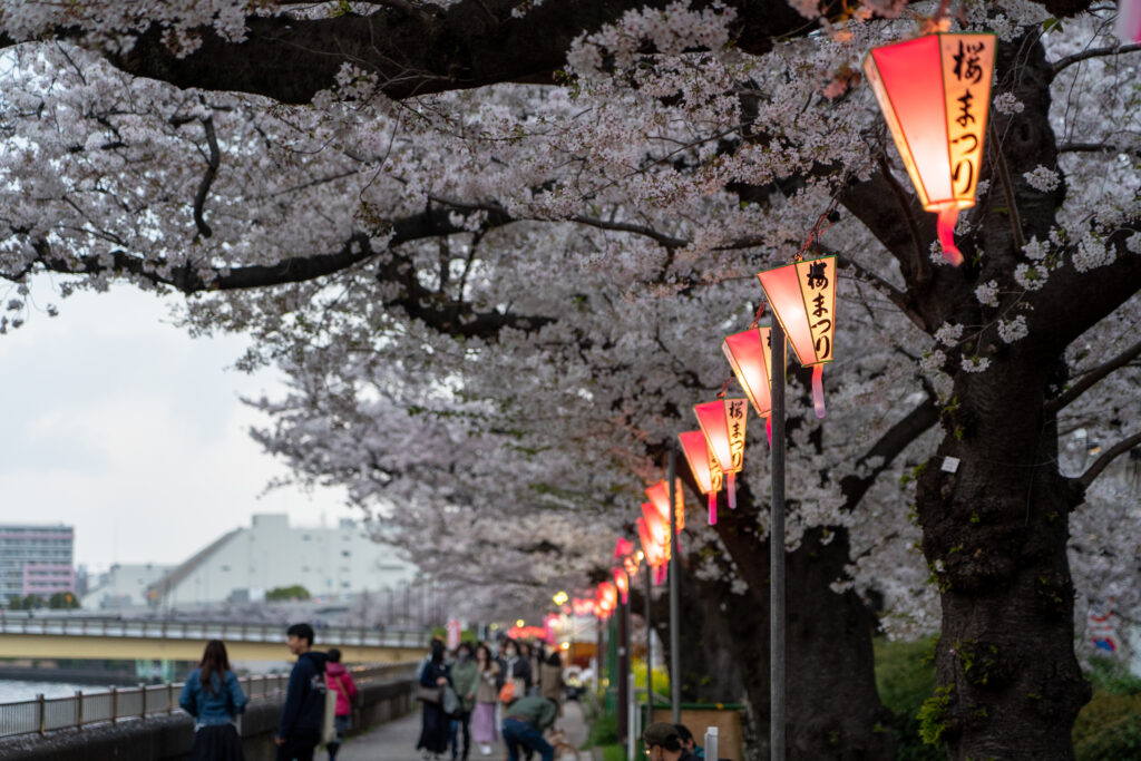 Sumida River | Traveling Japan