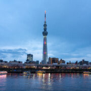 Tokyo Skytree and cherry blossom illuminated at Sumida River