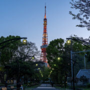 Tokyo Tower seen from Shiba Park