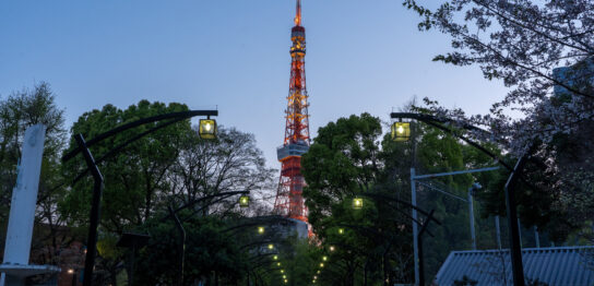 Tokyo Tower seen from Shiba Park