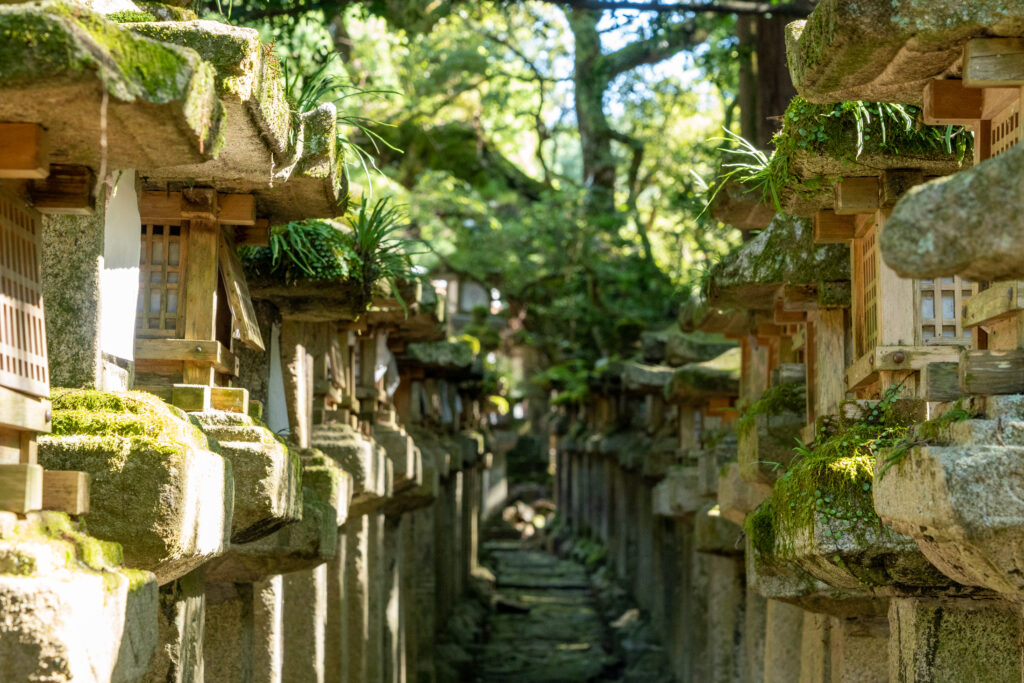Japanese Lantern seen at Kasuga Taisha Shrine
