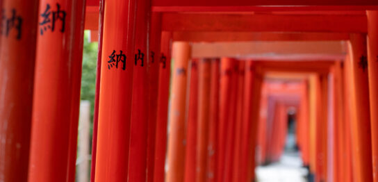 Thousand torii gates at Nezu Shrine