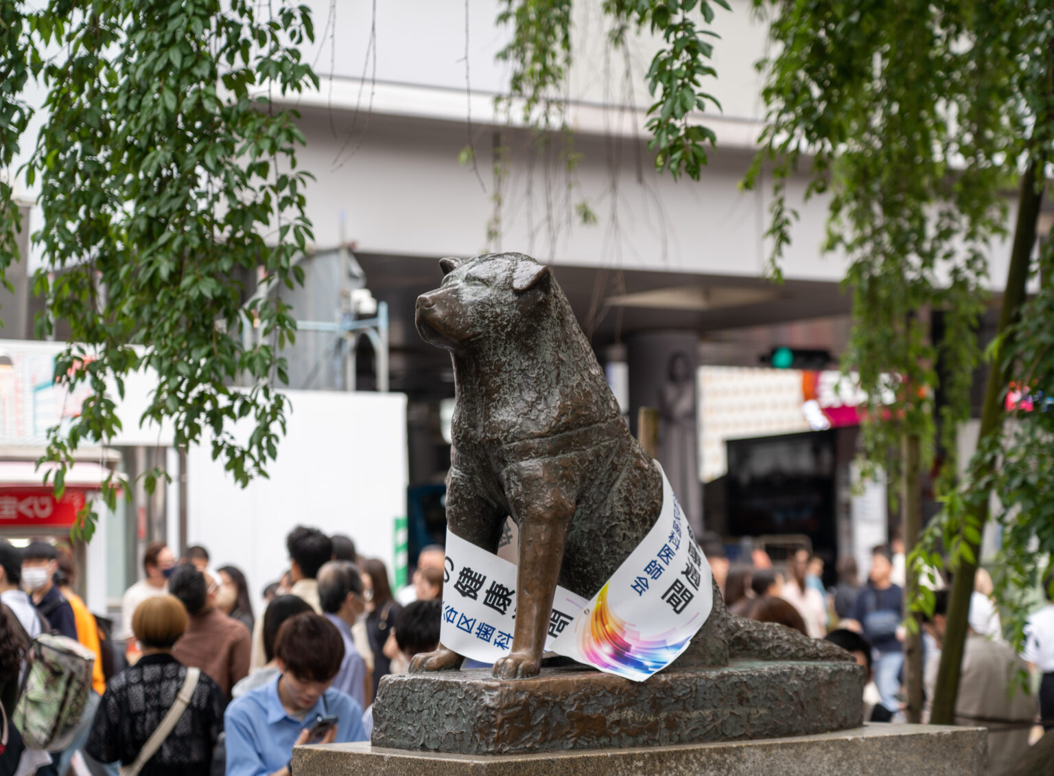 Shibuya Crossing (Shibuya Scramble Crossing) Traveling Japan