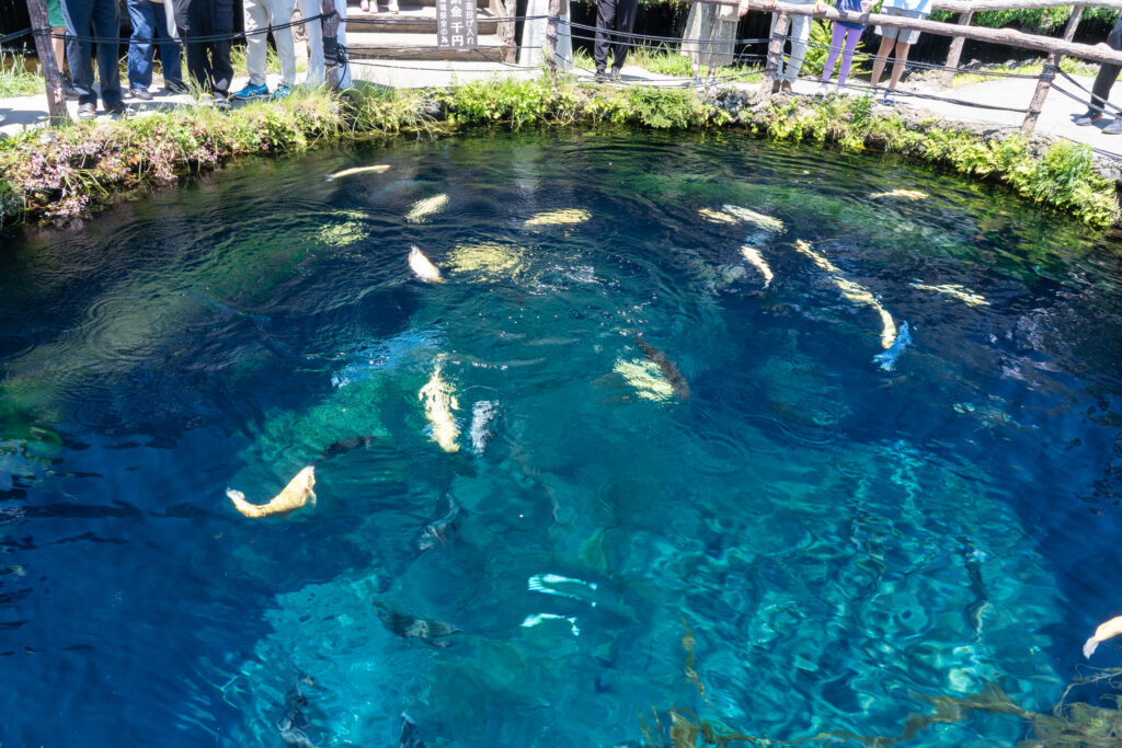Oshino Hakkai Nakaike Pond