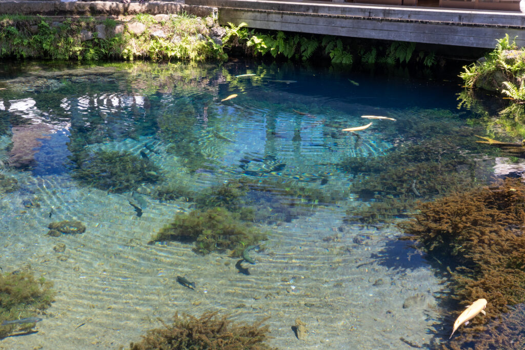 Oshino Hakkai Wakuike Pond