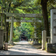 First torii gate of Akasaka Hikawa Shrine