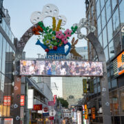 Harajuku Takeshita Street
