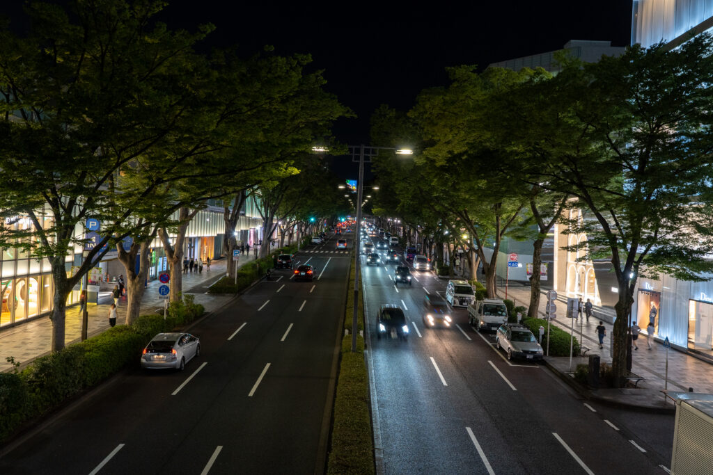 Omotesando Avenue