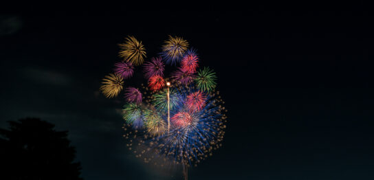 Tachikawa Showa Kinen Park Fireworks Festival