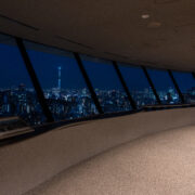 Bunkyo Civic Center Observation Deck