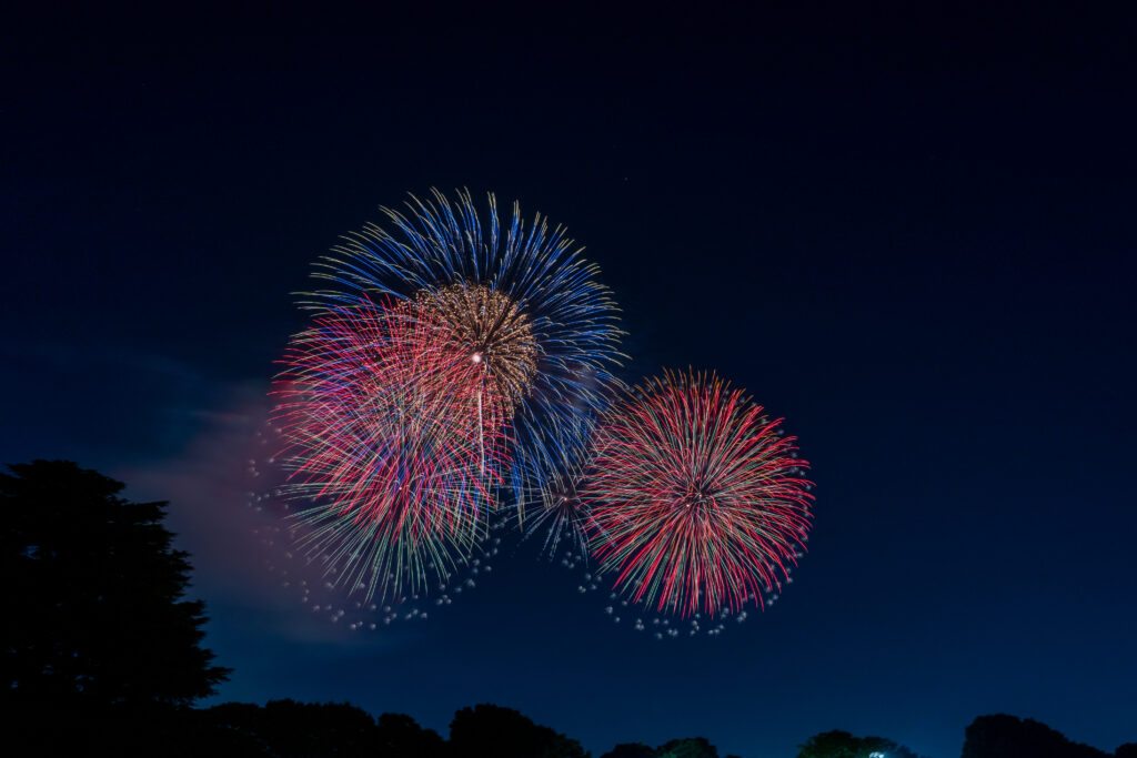 Tachikawa Showa Kinen Park Fireworks Festival
