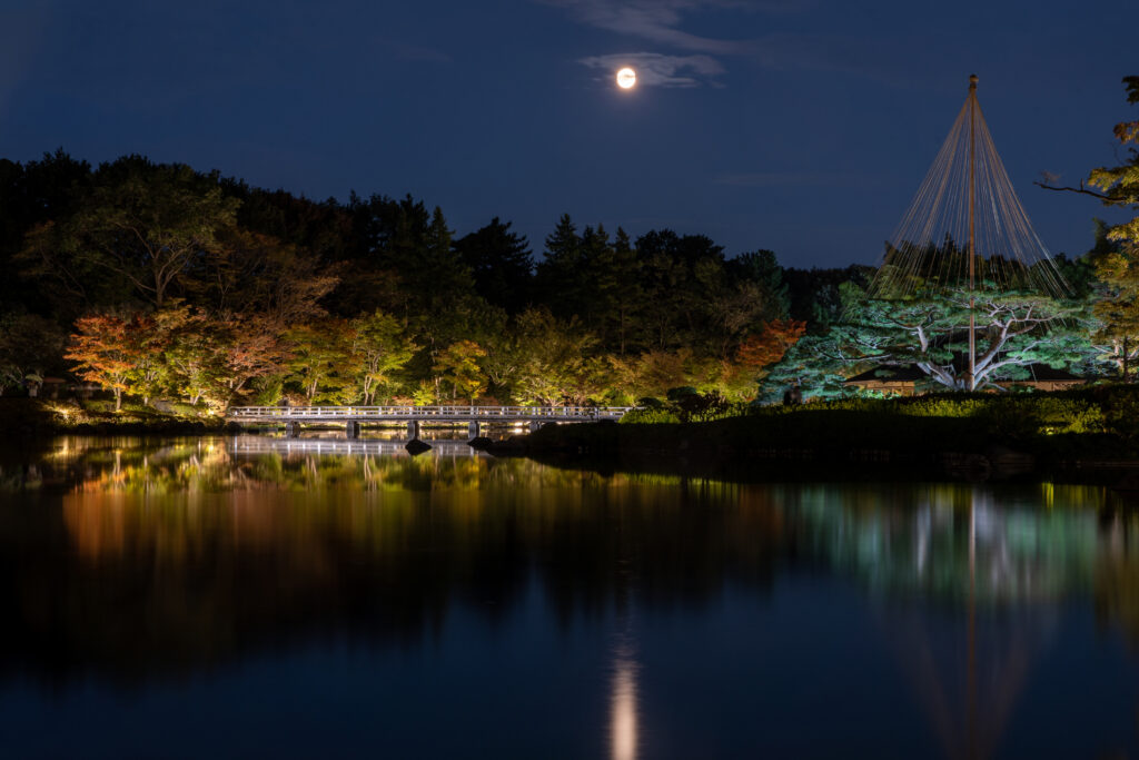 Japanese Garden lit up at Showa Kinen Park