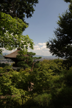 View from Jojakkoji Temple Observatory