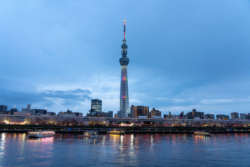 Tokyo Skytree and cherry blossom illuminated at Sumida River
