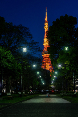 Tokyo Tower seen from Shiba Park