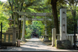 First torii gate of Akasaka Hikawa Shrine